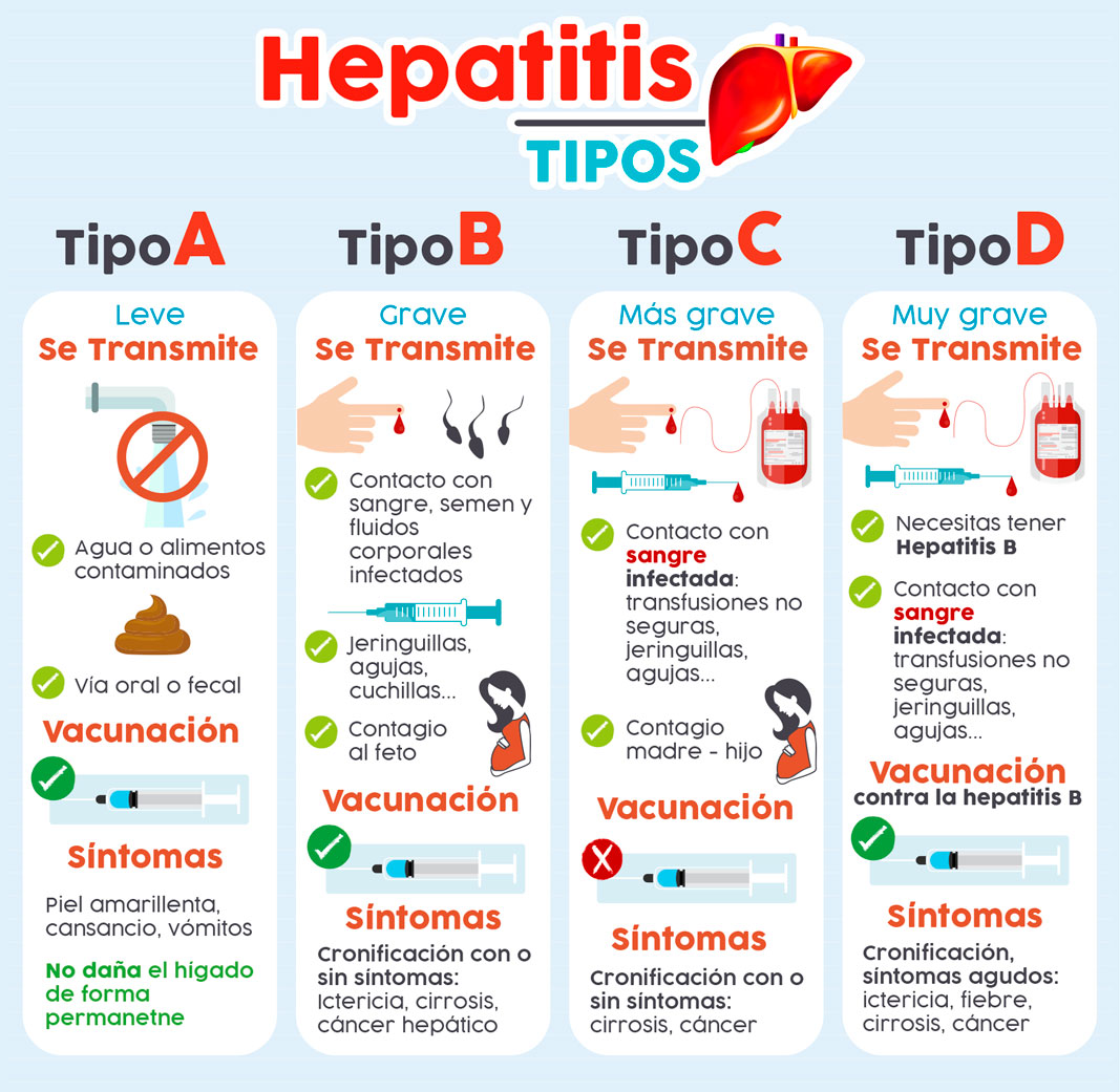 Causas De Hepatitis Y Tipos A B C D Autoinmue Y Tóxico 8344