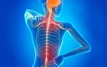 Ilustración de los síntomas de la esclerosis múltiple Síntomas de la esclerosis múltiple