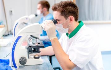 Diagnóstico de la gonorrea Diagnóstico de la gonorrea en el laboratorio