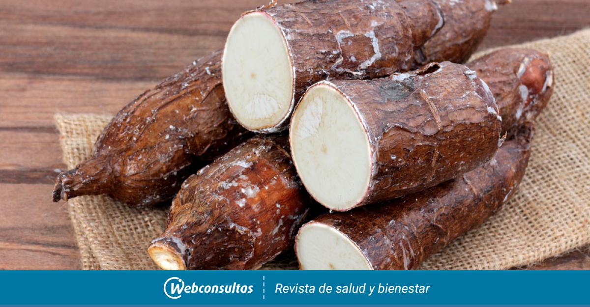 Tipos De Yuca Beneficios Para La Salud Y Composición Nutricional 2814