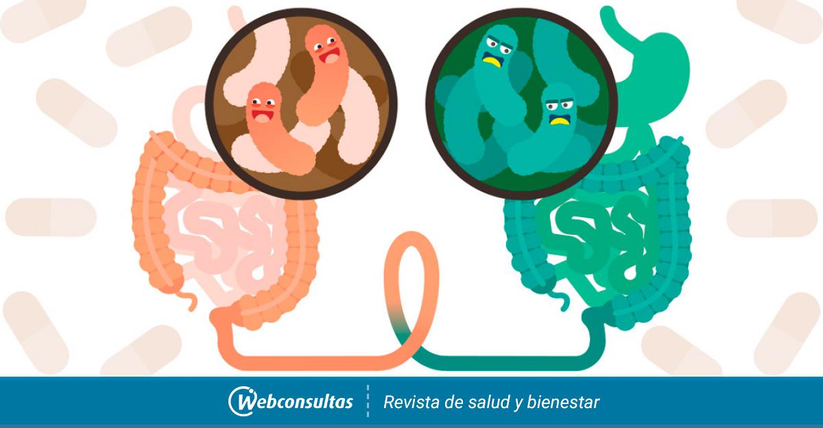 Nuevas técnicas prometedoras para tratar la incontinencia fecal