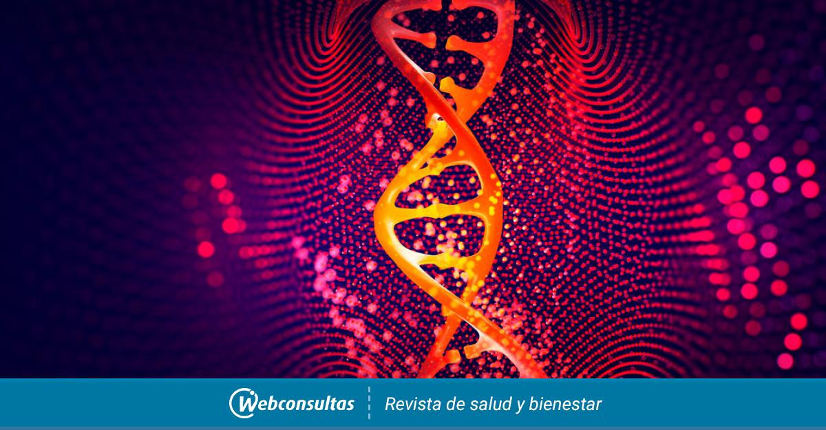 Descifran Los Secretos Del Genoma Humano Y Completan Su Secuenciación