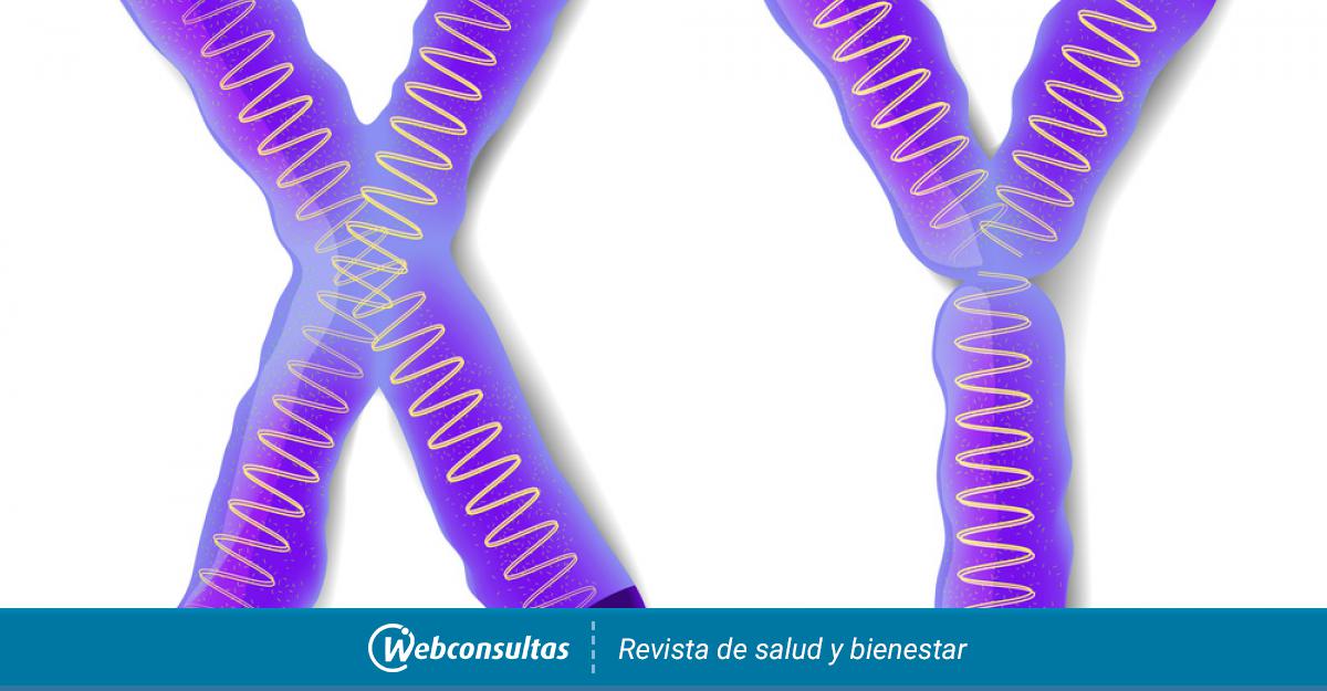 Causas De La Hemofilia Y Cómo Se Hereda Salud Al Día 4591