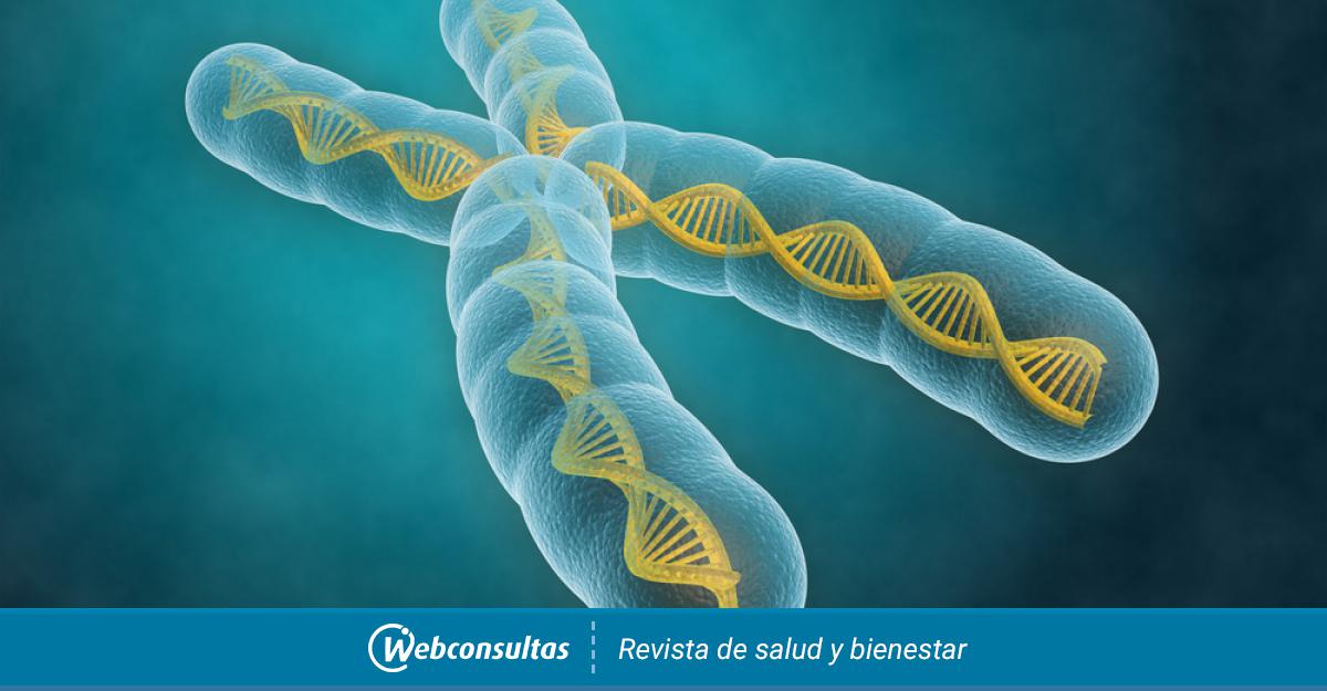 Crean el primer cromosoma artificial de la Historia