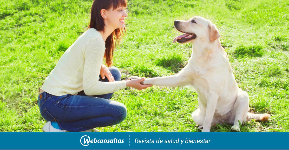 donan-perros-adiestrados-a-victimas-violencia-genero.jpg