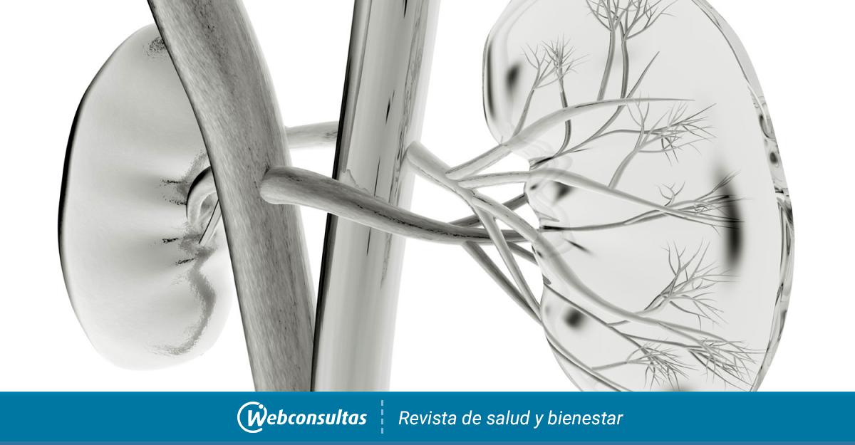 Insuficiência Renal Crônica Pesquisa Médica 1856