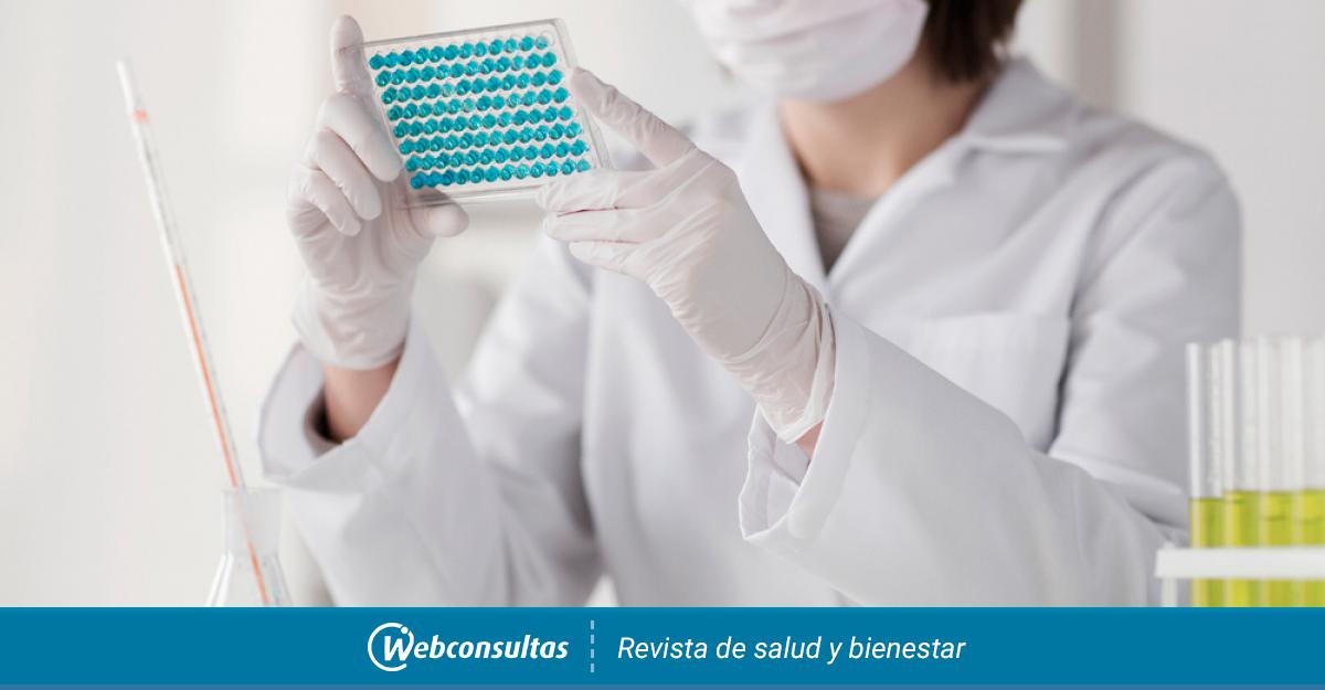 Técnica Elisa Qué Es Pruebas Médicas