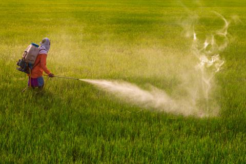Glifosato, el herbicida 'probablemente cancerígeno