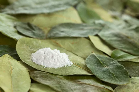 Hoja y polvo de cocaína