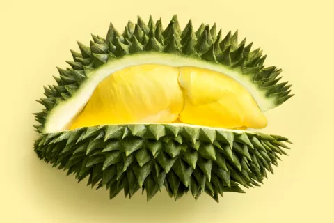 Durian, fruta tropical