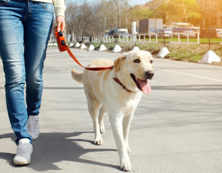 Una mujer pasea a su perro por la calle