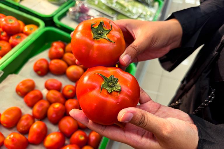 tomates