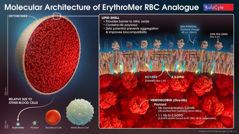 Ilustración de la arquitectura molecular de ErythroMer