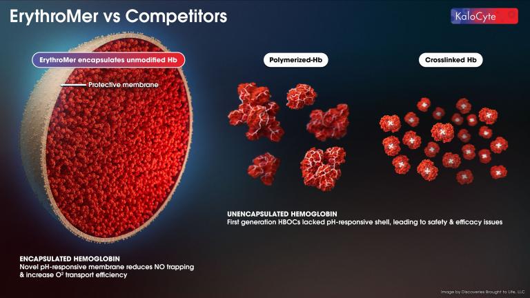 ErythroMer vs competidores