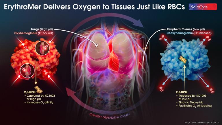ilustración de la suministración de oxígeno de ErythroMer