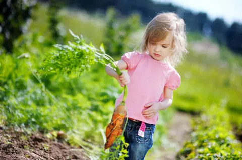 Niña en el huerto de la granja escuela