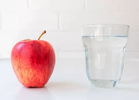 Necesidades de agua en la dieta