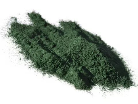 Alga Spirulina