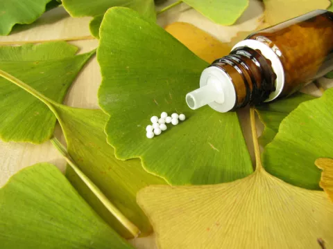 Píldoras homeopáticas de Ginkgo