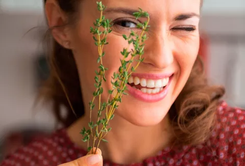 Composición del tomillo y beneficios para la salud