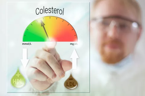 Causas de la hipercolesterolemia