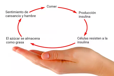 Causas de la resistencia a la insulina