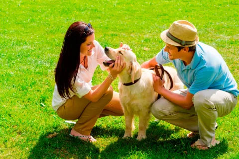 Una pareja acaricia a su perro en un parque