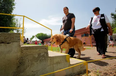 Cómo se entrena al perro de asistencia