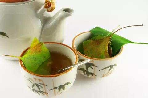 Infusión de Ginkgo biloba