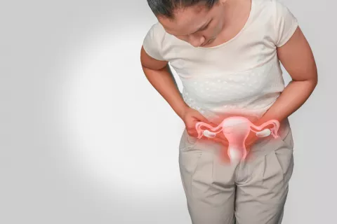 Componentes del ciclo menstrual