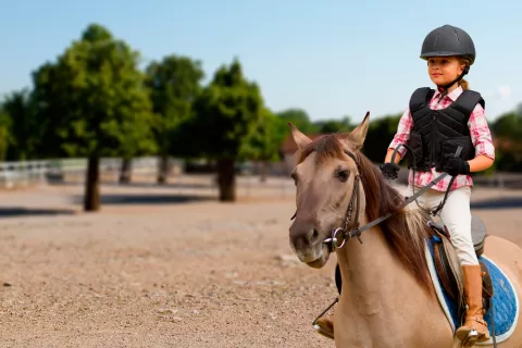 Consejos básicos para aprender a montar a caballo