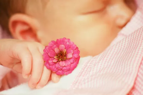 Bebé dormido sujetando una flor