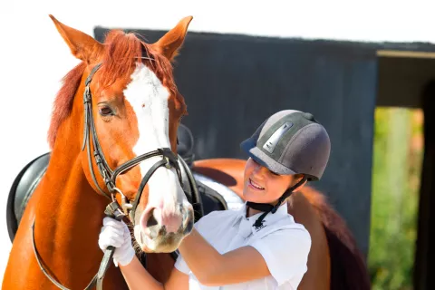 Manejar a tu caballo con seguridad