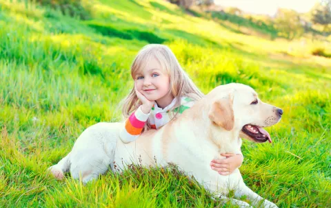 Niña tras la compra de un labrador retriever