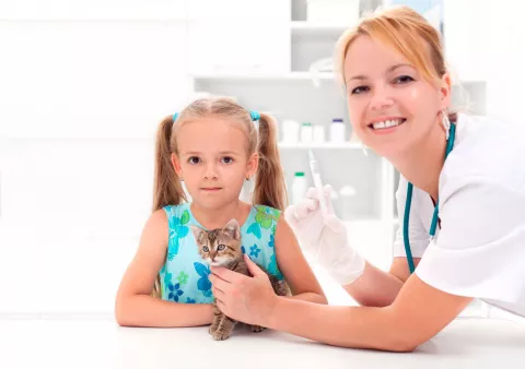 Un cachorro de gato con su dueña y una veterinaria