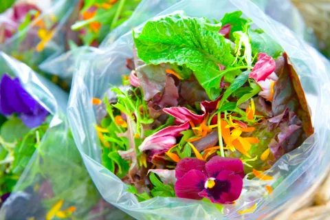 Ensalada de bolsa o de cuarta gama