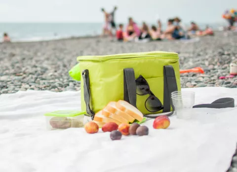 Neverita para organizar tu comida para la playa