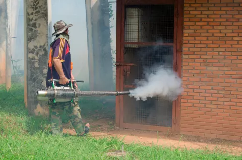 Fumigación para prevenir el Chagas