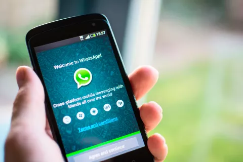 WhatsApp para niños y padres