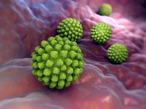 Transmisión y síntomas de la gastroenteritis por rotavirus