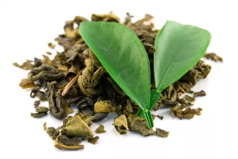 Hojas de té verde