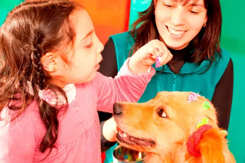 Niña siguiendo terapias con animales para el autismo