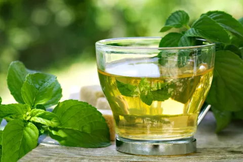 Infusión de menta