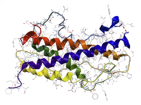 Tratamiento del déficit de la hormona del crecimiento