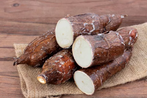 Yuca