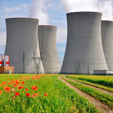 Contaminación como causa del cáncer