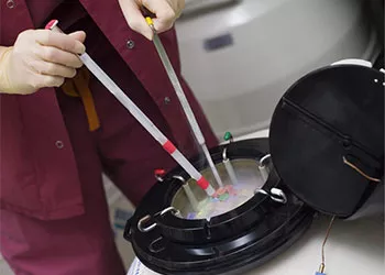 Embriones congelados en un laboratorio