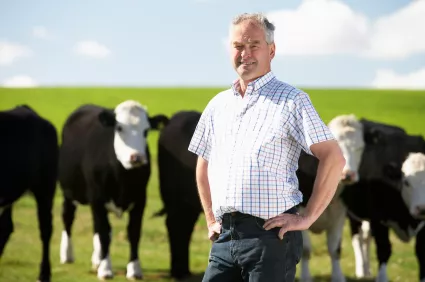 Un hombre en el campo junto a sus vacas