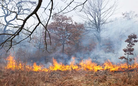 Incendios