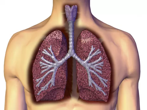 Síntomas de la bronquiolitis obliterante